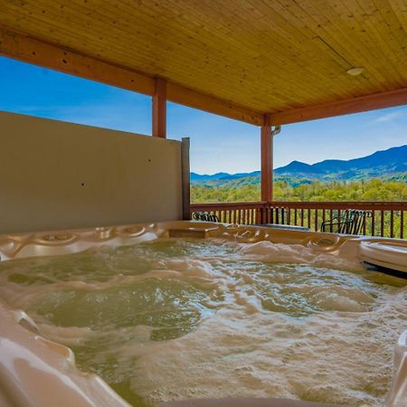 Beartastic Mountain View Lodge 개틀린버그 외부 사진