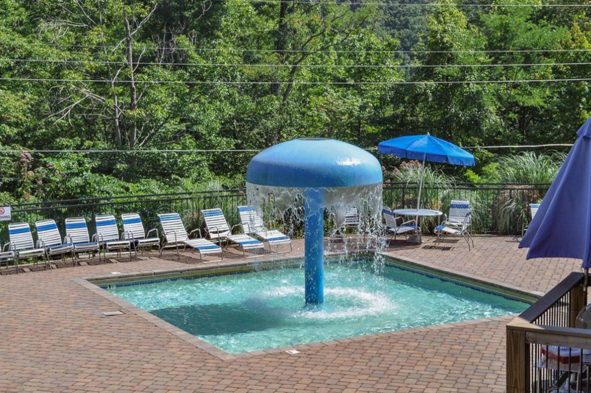 Beartastic Mountain View Lodge 개틀린버그 외부 사진