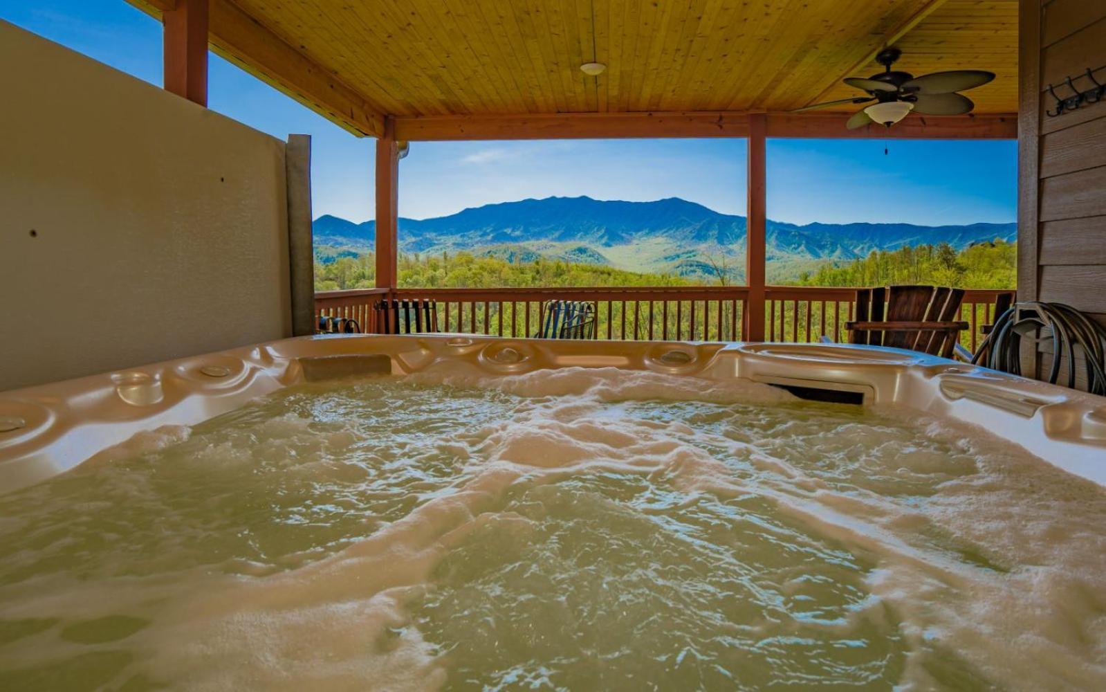 Beartastic Mountain View Lodge 개틀린버그 외부 사진