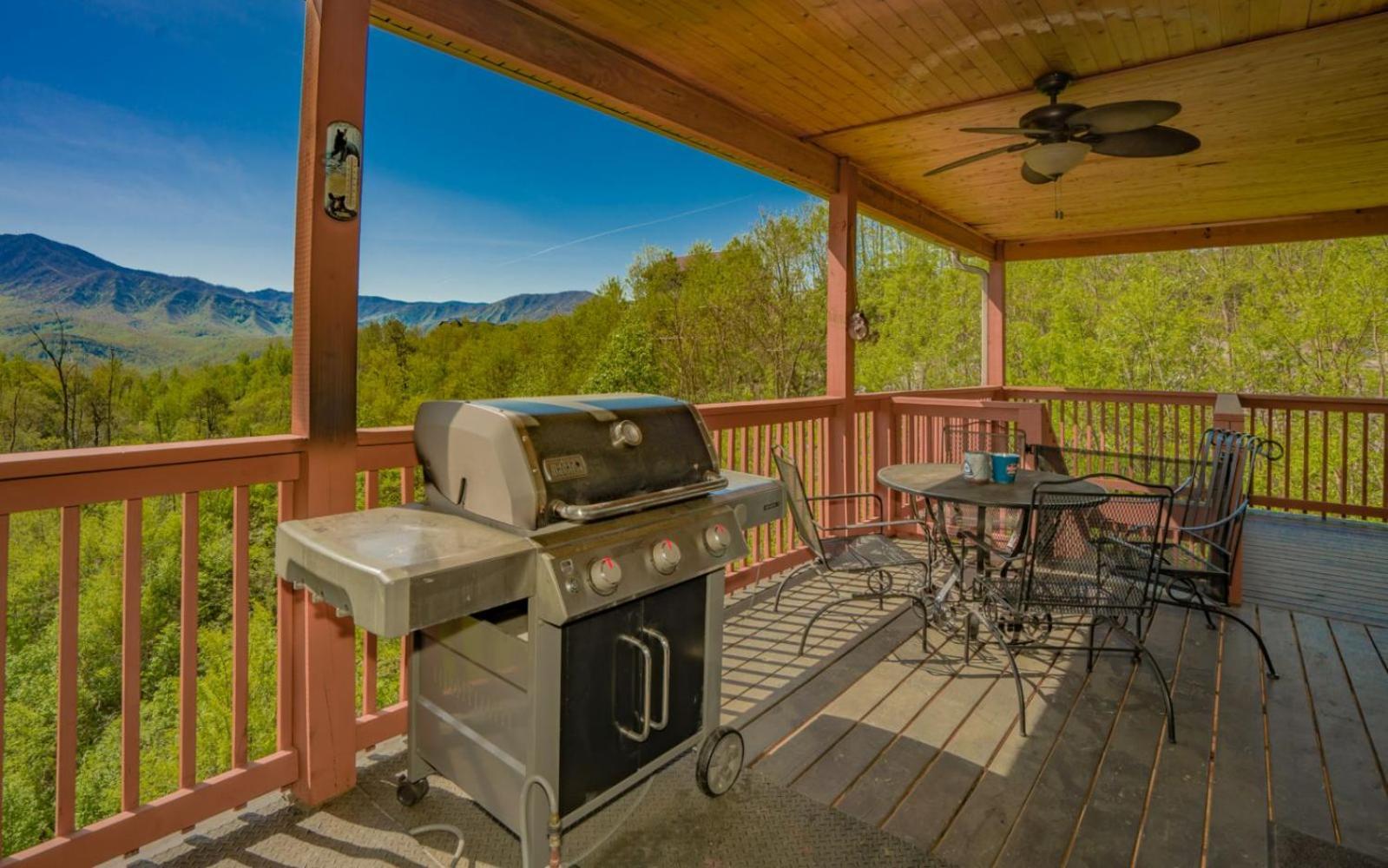 Beartastic Mountain View Lodge 개틀린버그 외부 사진