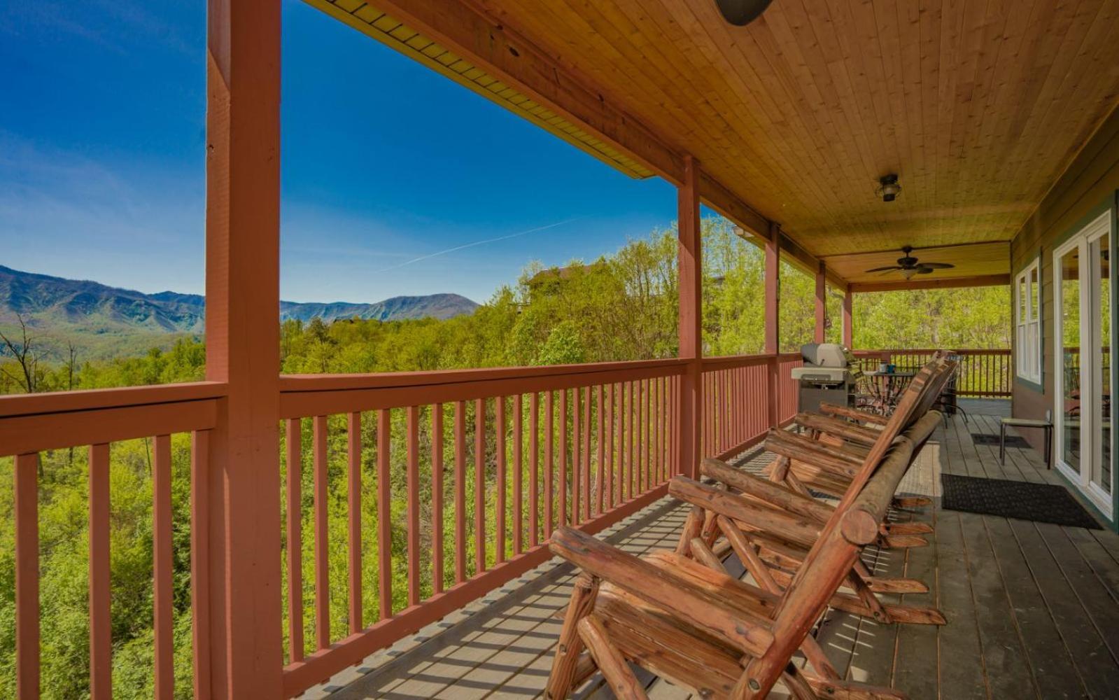Beartastic Mountain View Lodge 개틀린버그 외부 사진