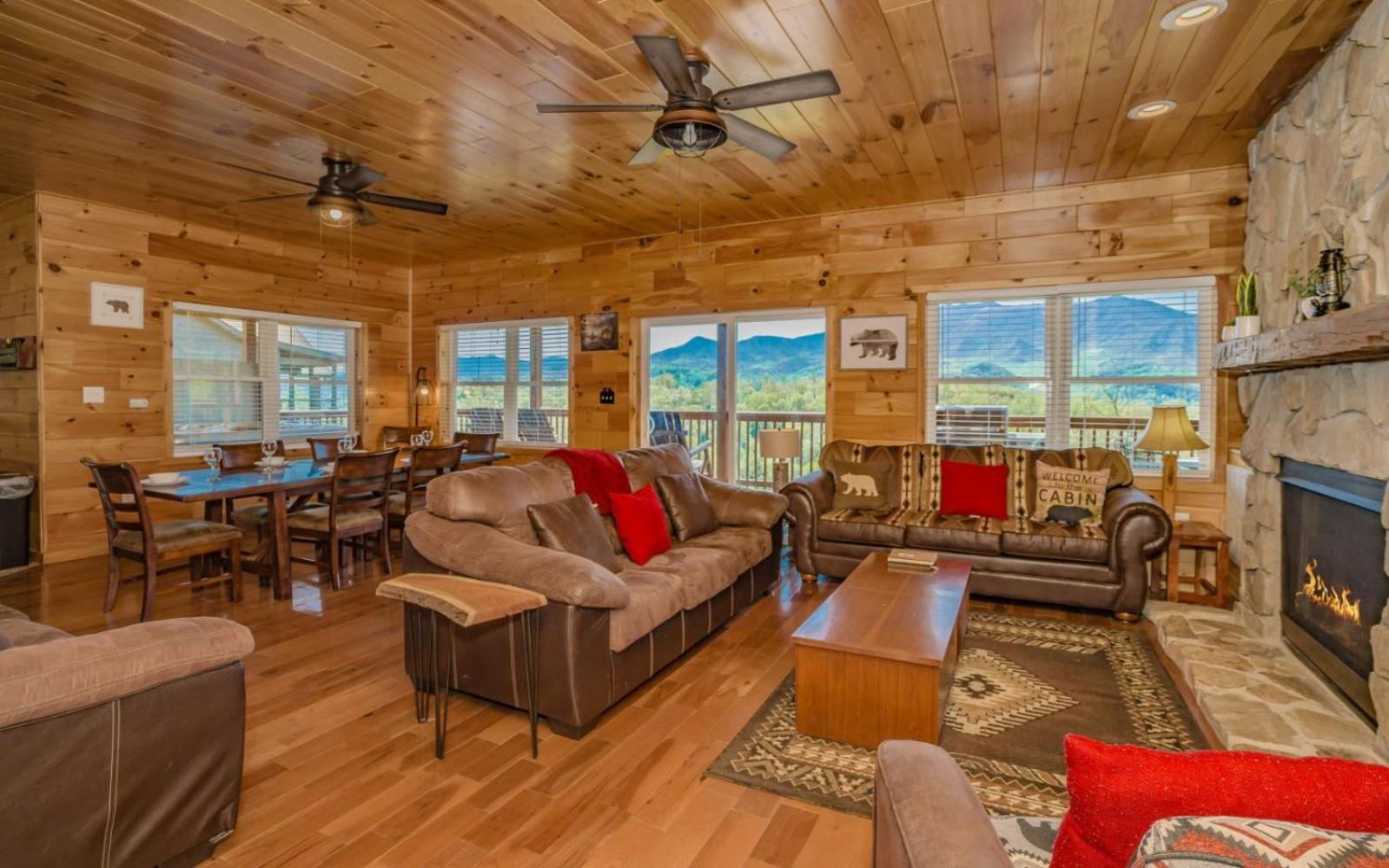 Beartastic Mountain View Lodge 개틀린버그 외부 사진