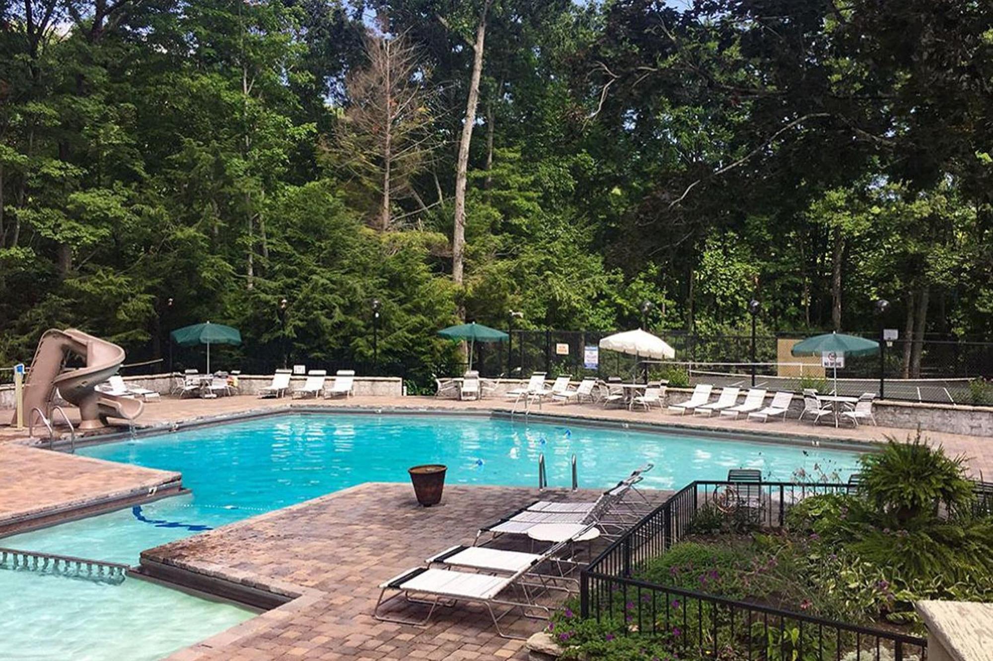 Beartastic Mountain View Lodge 개틀린버그 외부 사진